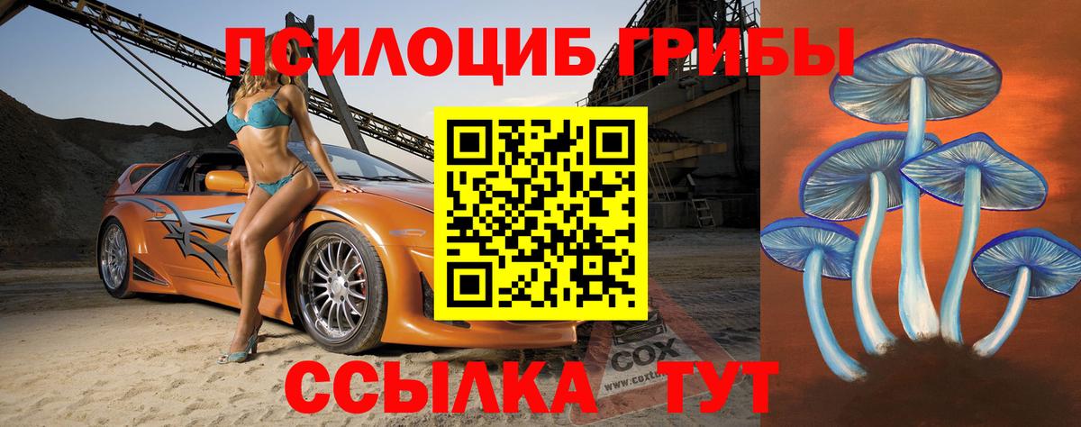 Псилоцибиновые грибы MAGIC MUSHROOMS  Вход с VPN  Галлюциногенные грибы Psilocybine cubensis  Нальчик 